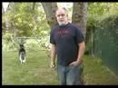 C-Span \"Voter Video\" Alaska style Dividend for US or Pension C-Span \"Voter Video\" Alaska style Dividend for US or Pension