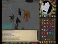 videos de The Forgotten Warriors - Zamorak Trip