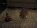 Garfield PANIC MOUSE Garfield PANIC MOUSE