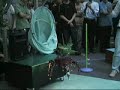Hexapod Robot does the limbo