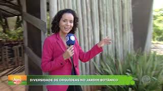 Agro Record: 25 05 25 - Bloco 01