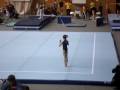 Lara Orsanic FX 2008 nationals