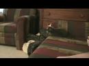 Shaone and Milan - Part 5