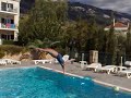 The PERFECT dive!!