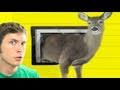 DOGGY DOOR DEER