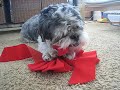Unwrapping 09