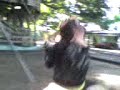 ANG3 iN DUH SWiNX