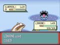 Pokemon Emerald Episode 81 Waves of Annoyance