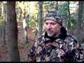 Bow hunting in Massachusetts