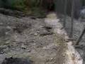 Geotermia Larderello (sasso pisano)
