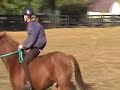 Pepperoni ridden in halter bareback jumping 2