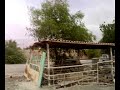 Thumbnail #2
