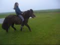 heel hip filmpje van gompie in draf ik lachte me dood en deezz owk zo te zien (a) het was op een regenachtige dag maar ja wat nou boeiend regen paarden zijn mijn alles (l) maar het was een melige dag met een melige ijslander (a)