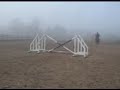 Ginger Snaps Milo jumping small X pole Ginger Snaps Milo jumping small X pole