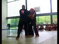 Bujutsu International Seminar