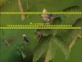 videos de King Me 100 - 99 Hunter!