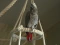 Kaja- funny sounds ;)
