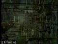 Borg - assimilation earth -