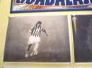 NEDVED IMAGES NEDVED IMAGES