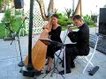 harp Hawaii