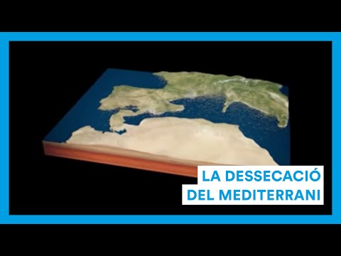 youtube-img