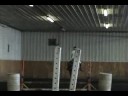 Blarney Stone Summer Camp \ Blarney Stone Summer Camp \