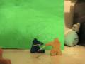 videos de fight
