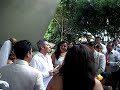 Borboleta Cuernavaca