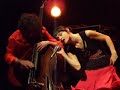 Musica Nuda - (intro) il cammello e il dromedario