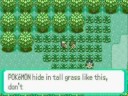 Pokemon Emerald Journey Pt. 2