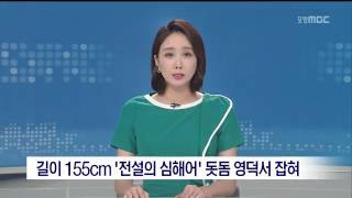 MBC 이브닝뉴스