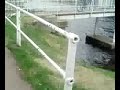 Bobs River Jump