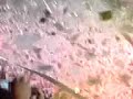 eisodos omadwn sto paok-gavrosapla  deite ti egine...