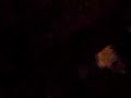 lolo balcon 1 lolo balcon 1