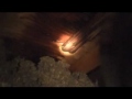 Leaky Roof Low Res