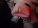 Lambchop does crank tdat cavalry boy