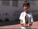 Super Pets Commercial