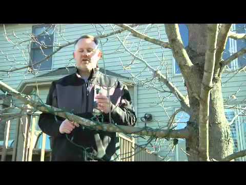 how to fit outdoor xmas lights
