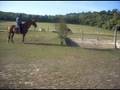 1er cross en licol 3