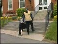 Panda: A Clicker Trained Assistance Horse, of Course