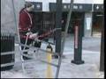 Panda: A Clicker Trained Assistance Horse, of Course
