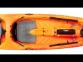 The Vector 13 and 14 Overview