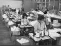 The Berkshire Factory, Newtownards
