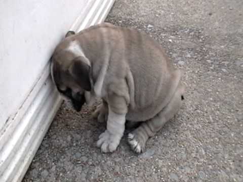Cute video 