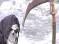 DEBT COLLECTORS ARE BOTTOM FEEDING MAGGOT SKUM