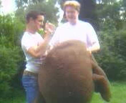 3of7Find a Monkey(kick it)