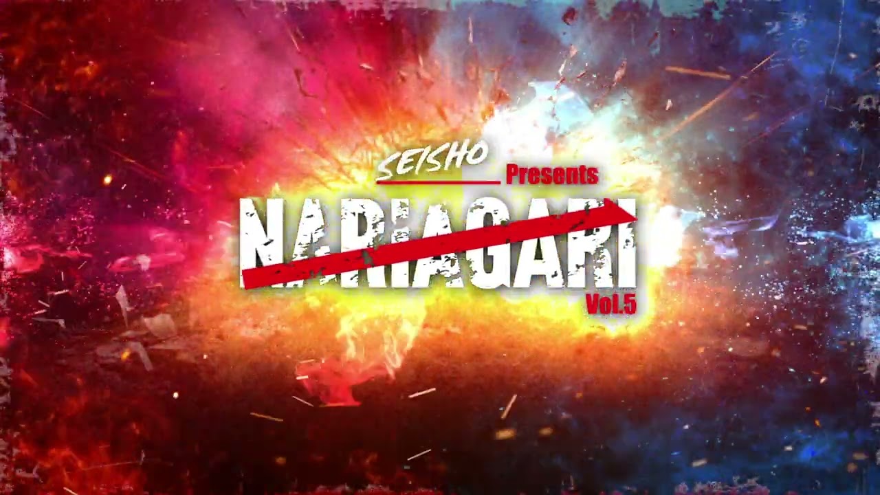 NARIAGARI vol5 スティンガー