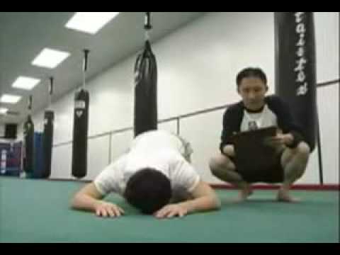 Adam Phelps Zerogravity Audition