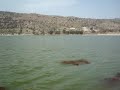 Jahlar Lake, RAMSAR Site, Salt Range Pakistan