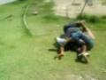 baianinho X bele